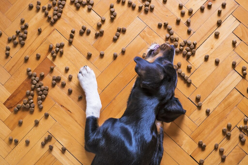 dog food, dog kibble, dry dog food-5175619.jpg